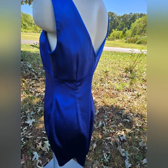 Calvin Klein Royal Blue Dress - Picture 7 of 11